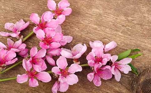 �������һ�ˮ���̰�