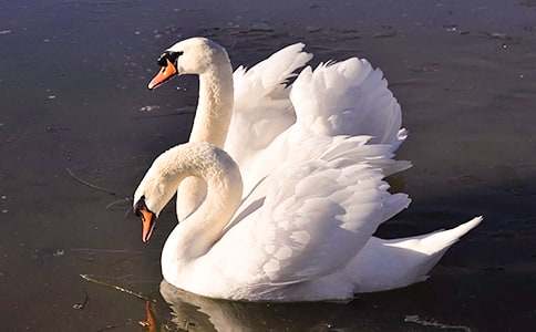 �����Ĺ��¡���ѧ���8ƪ