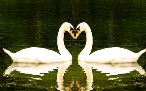 �����Ĺ��¡���ѧ���