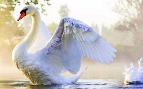 ���Ĺ���˵�θ�