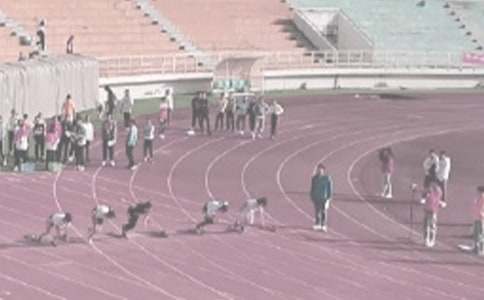 �ﾶģ���ѧ�ƻ�