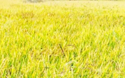 �����ǵ���Ұ����ѧ���