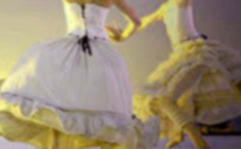 ���������ѧ��ơ�������ľ��顷