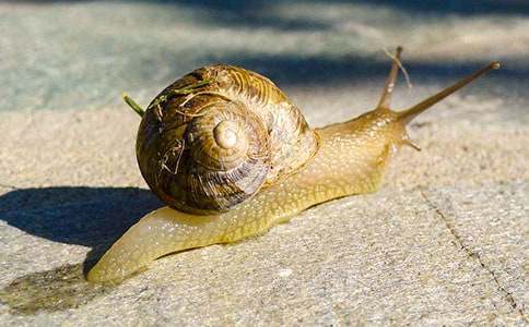 ��ţ�������ѧ��˼