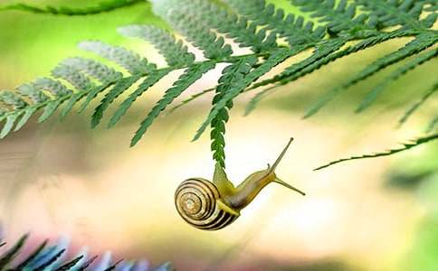 ��ţ����ѧ��˼