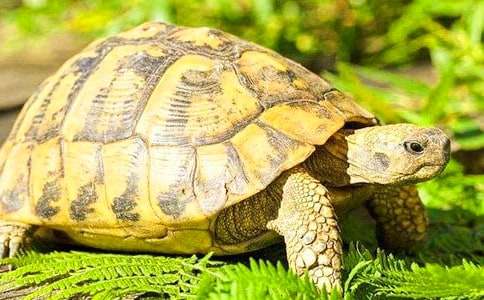 ���ʹ��ڹ�ؼҡ��̰�