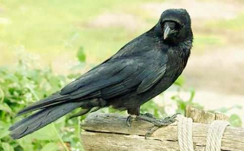 ��ѻ��ˮ��ѧ���