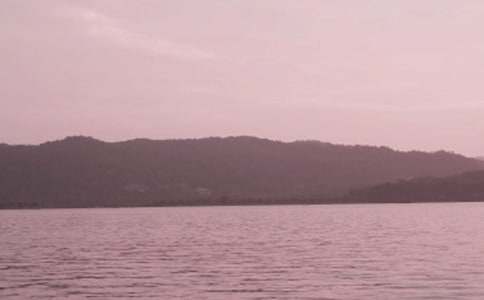 ������ѧ���