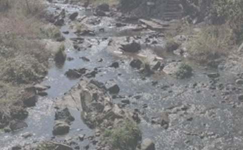 СϪ���ĸ��ѧ��˼11ƪ