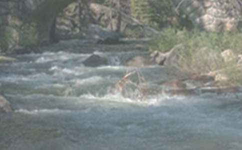 ��СϪ���ĸ衷�̰�