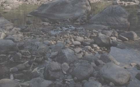 ��СϪ���ĸ衷��ѧ��˼