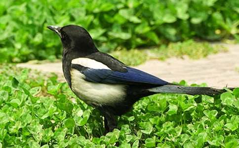 ������ϲȵ����ѧ���15ƪ