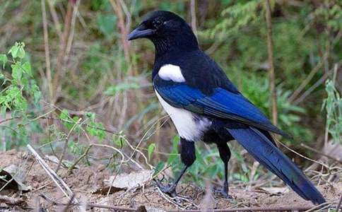 ����ϲȵ��ѧ��˼