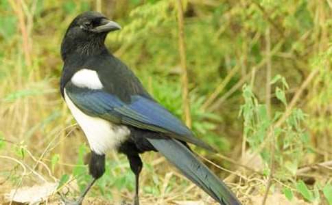 ����ϲȵ��ѧ��˼���ͨ��