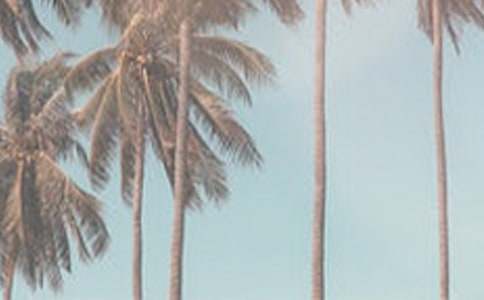 �ļ�����¹����ܽ�15ƪ(��ѡ)