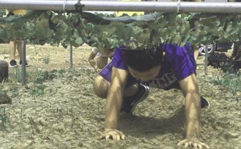 ����Ӫ�߻��鼯��