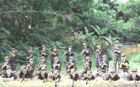 ����Ӫ�ݽ���