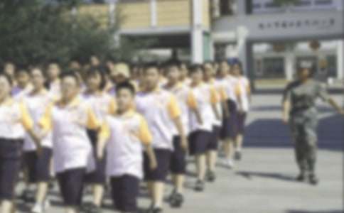 ����Ӫ��߻��龫����24ƪ��