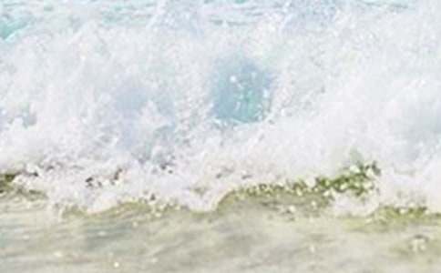 �а���������̰�