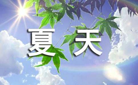 夏天大班教案