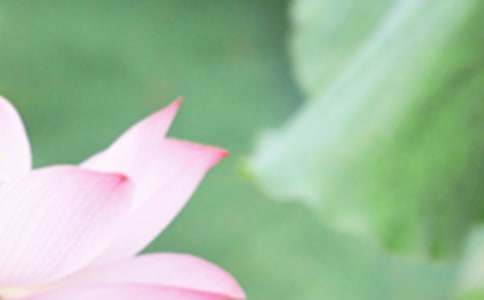 夏至风俗教案(精选6篇)