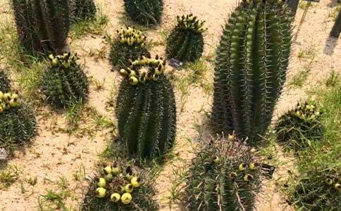 �������ơ��̰�3