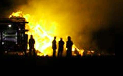 ����ɭ�ַ���̰�ģ�壨ͨ��8ƪ��