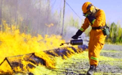 ������ȫ�Ľ̰����ģ���ѡ13ƪ��