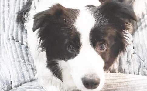 С��С���ļҽ̰�