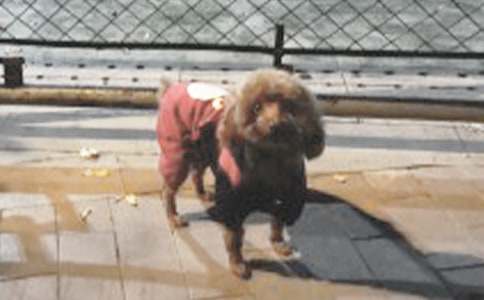 ������С����ѧ���