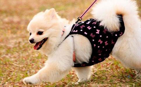 С��̧���δ��̰�