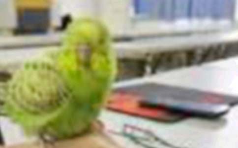 ���ġ���С�񡷽�ѧ��˼(6ƪ)