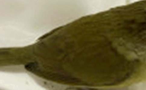 ���ġ���С�񡷽�ѧ��˼6ƪ