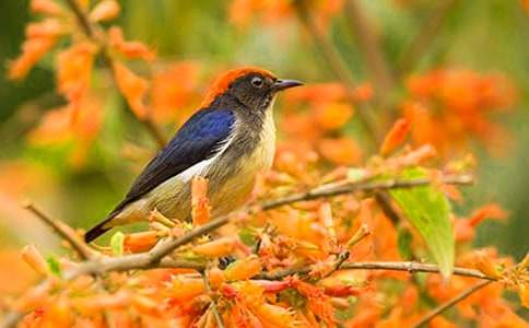 ���꼶�ϲ�Ƚ̰�С��