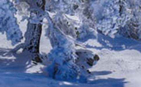 ���Сѩ�̰�