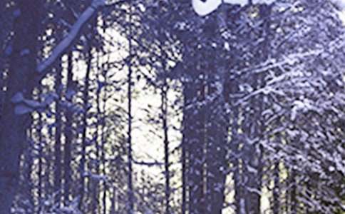 ����ʮ�Ľ���Сѩ�̰�����ѡ6ƪ��