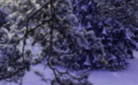 Сѩ�������̰�