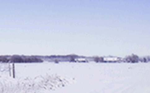 С��Сѩ�̰�