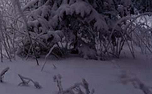 节气小雪活动教案范文(精选22篇)