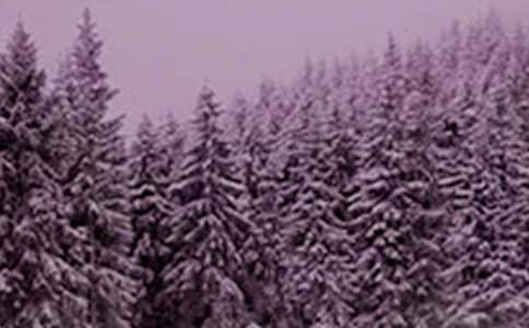 大班小雪教案范文(精选12篇)