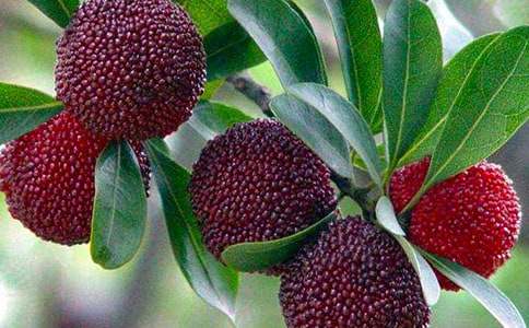 �Ұ��������÷�̰�