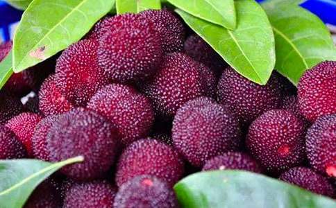 �Ұ��������÷˵�θ� 6ƪ