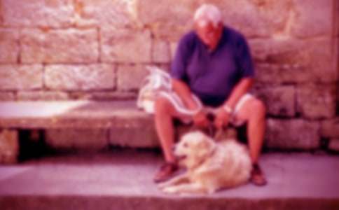 үү��С����ѧ���15ƪ