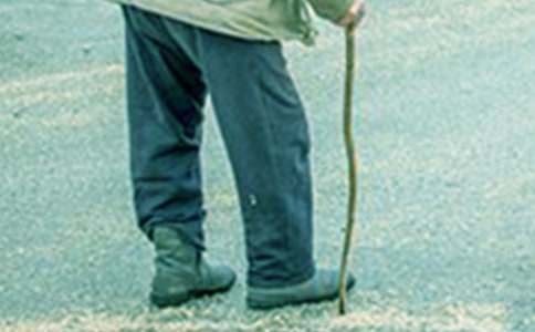 《爷爷和小树》第一课时教学设计