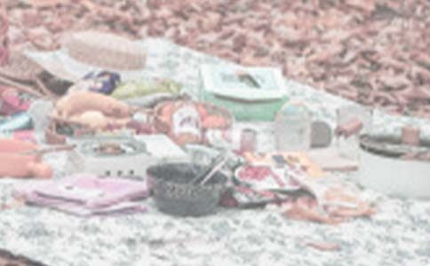 小班语言小猪的野餐教案