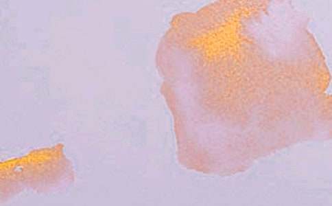 ���������ѧ���(�ϼ�15ƪ)