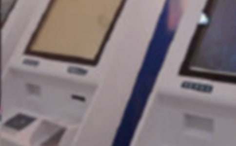 ����Ա�������ƻ�(14ƪ)