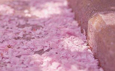 ���ر���ӣ��˵�θ�6ƪ