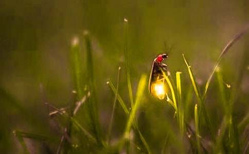 ��ө��桷��ѧ��˼��ͨ��13ƪ��