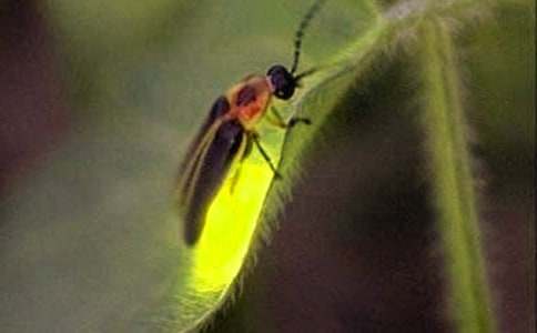 ө��������ѽ̰�